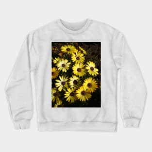 Osteospermum Crewneck Sweatshirt